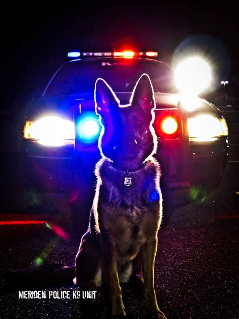 Police K9 Wallpaper