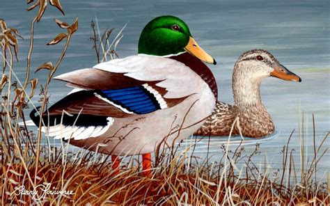 Mallard Pair Painting by Barry Louwerse | Pixels