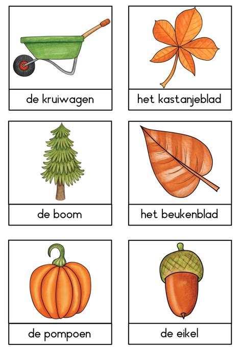 Herfst Woordenschat Artofit