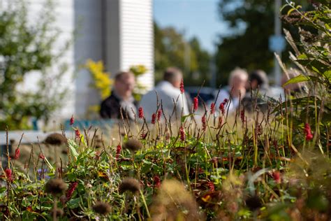 Nieuws Werklandschappen Van De Toekomst