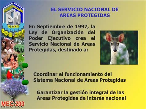 Ppt Ecosistemas En Bolivia Powerpoint Presentation Free Download