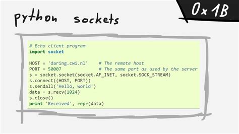 Socket Programming In Python And Integer Overflow Bin 0x1b Youtube