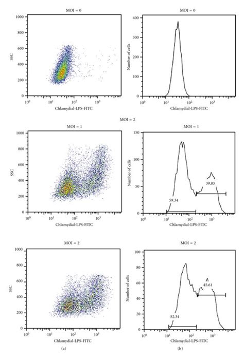 Separation Of Infected And Uninfected Endocervical Epithelial Cells In Download Scientific