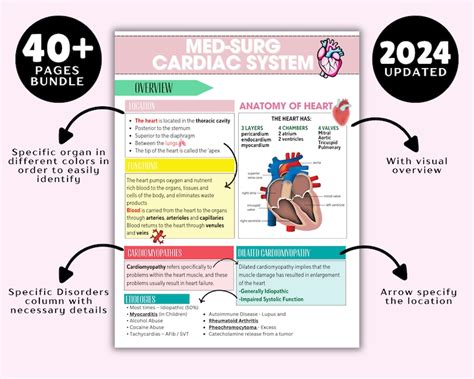 Cardiovascular System And Disorders With Cardiac Rhythms 2025 Nursing