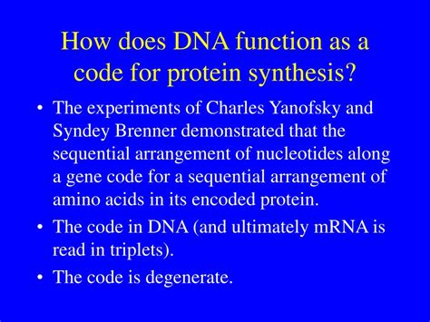 Ppt Lecture Mrna Splicing And Protein Synthesis Powerpoint