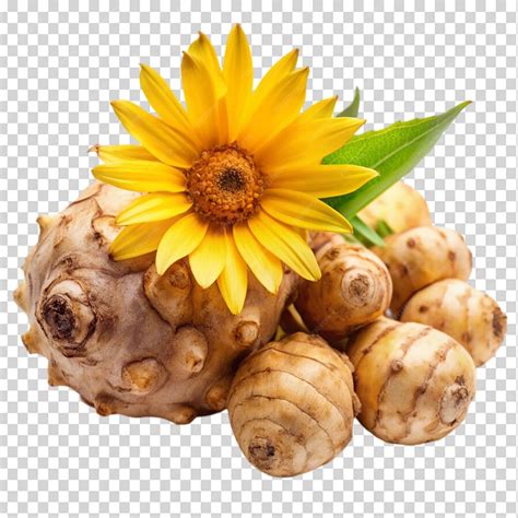 Jerusalem Artichoke Isolated On Transparent Background Premium Ai