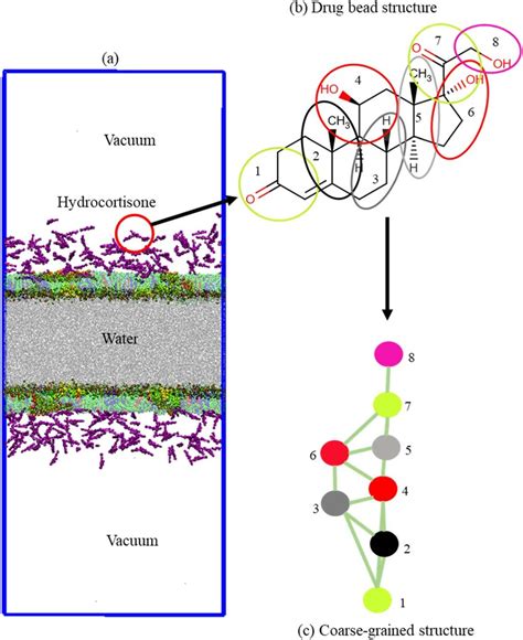 A Schematic Representation Of The System Composed Of Surfactant