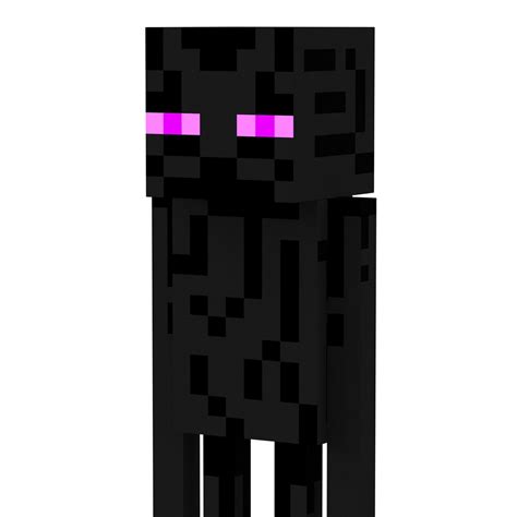 Minecraft Enderman Anatomy