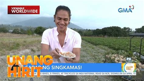 This Is Eat Sarap Ng Singkamas Ating Tikman Unang Hirit Youtube