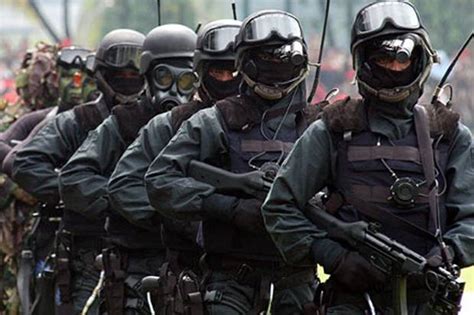 Mengintip Kehebatan Pasukan Elite Sat 81 Kopassus Denjaka Marinir Dan