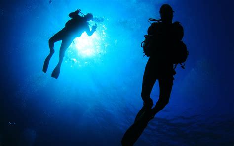 scuba scholarship diversity  aquatics