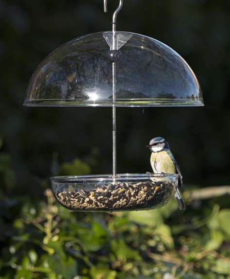 Buy I Love Robins Feeder online from Living with Birds