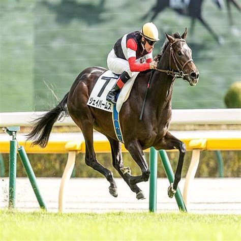 【東京6r新馬戦結果】キラーアビリティの半弟ジェイパームスが3馬身差圧勝 2022年11月5日掲載 ライブドアニュース