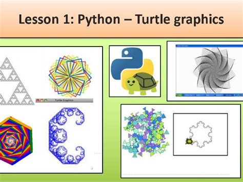 Как нарисовать круг в Python Turtle