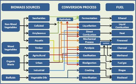 Electricity From Biomass Bios Bioenergiesyteme Biogas