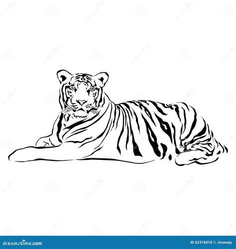 Tiger Sitting, Black And White, Vector Stock Vector - Image: 62376818