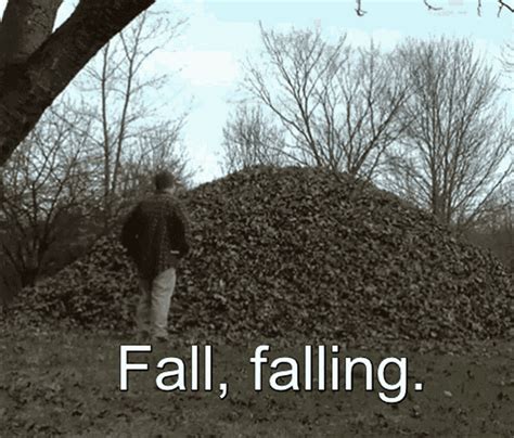 Fall Falling GIF - Fall Falling Fall Weather - Discover & Share GIFs