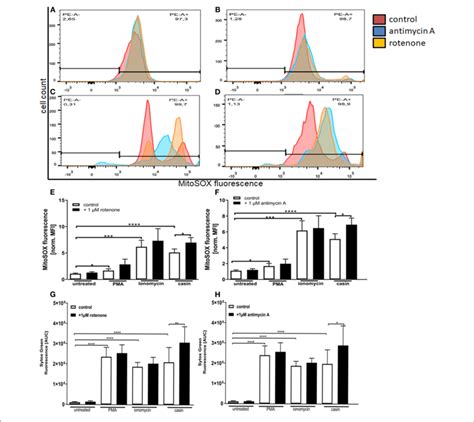 Inhibition Of Mitochondrial Respiratory Chain Complexes I And Iii