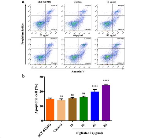 Rfgrab Protein Induced Apoptosis In Pbmcs Annexin V Pi Staining