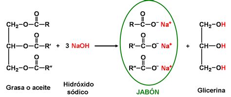 Saponificación Lidia Con La Química