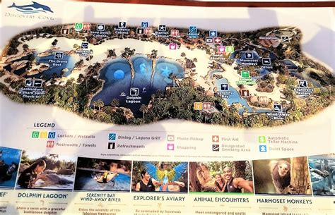 Discovery Cove map - Disney in your Day