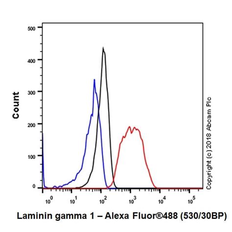 Anti Laminin Gamma Epr Bsa And Azide Free Ab