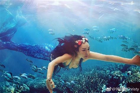 鍾麗緹大女兒化身性感美人魚！海裡暢遊 重現29年前《人魚傳說》 娛樂星聞