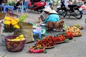 Partir Vivre Au Vietnam Nos Conseils Pour Bien Pr Parer Votre