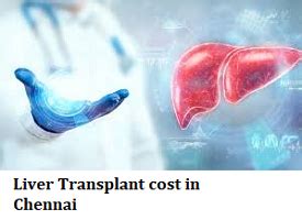 Chennai Archives Liver Transplantation