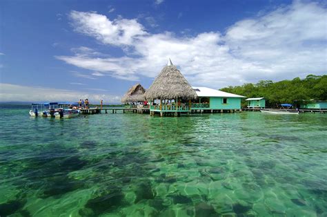 Isla Bocas Del Toro Aguas Cristalinas Del Caribe Paname O