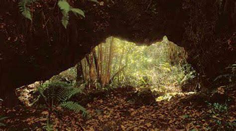 Iberos Y Celtas Cueva De Sidr N Pilo A