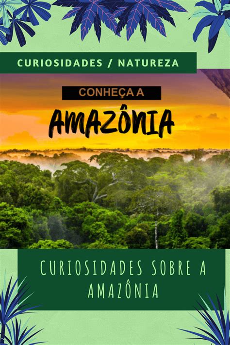 Curiosidade Sobre A Amazônia - Descubra 38 Curiosidades sobre a Amazônia | Amazonas, Turismo de ...