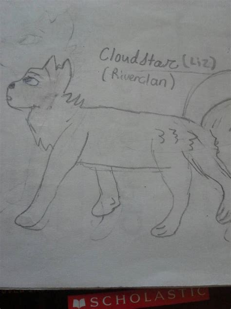 Cloudstar Leader Of Riverclan By Falconscreech On Deviantart