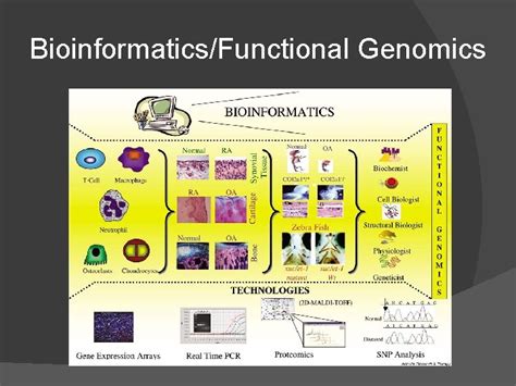 Microbial Functional Genomics Chapter Genomics Toward A