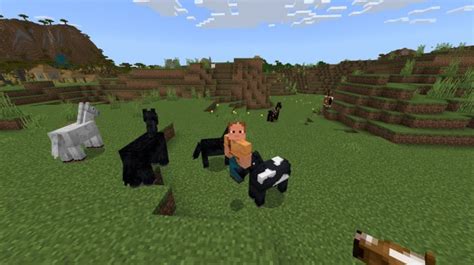 What Do Horses Eat In Minecraft Answered Twinfinite