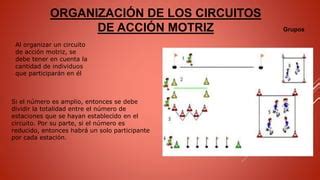 Circuitos De Acci N Motriz Do Pptx