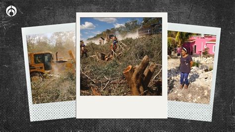 Los peligros del Tren Maya en FOTOS daños a la selva y los cenotes