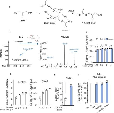 Dhap Scavenges Nuclear Acetate To Form Acetyl Dhap Related To Fig