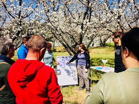 Jornadas Técnicas Cultivar Polinização E Polinizadores Em Fruteiras