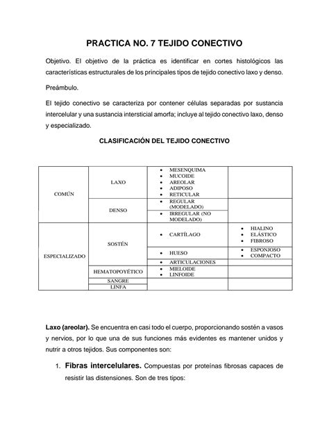 SOLUTION Pr Ctica 7 Histolog A Tejido Conectivo Con Laminillas Studypool