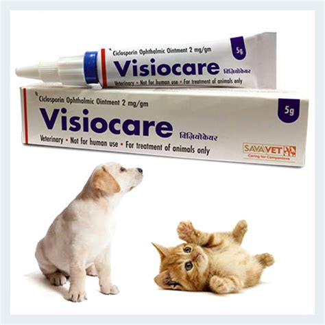 Visiocare Optimmune Eye Ointment 5g Free Uk Delivery Uk