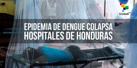 Epidemia Dengue Colapsa Red Hospitalaria Año Enfermado Mil Hondureños