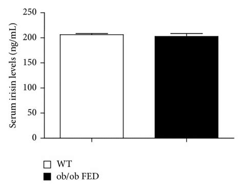 Serum Irisin Levels A Serum Irisin Levels In Rats Fed With High Fat