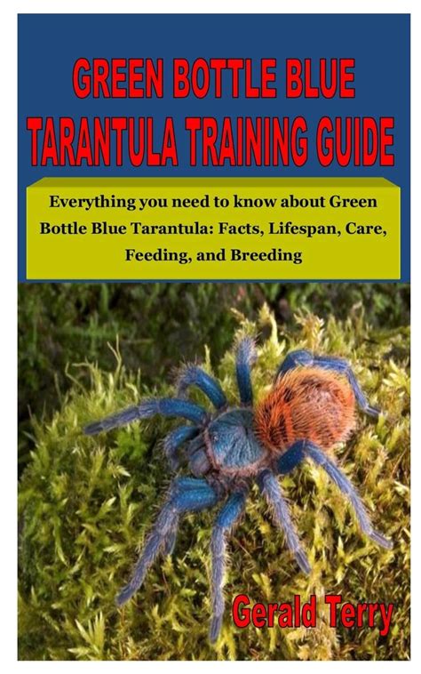 Buy GREEN BOTTLE BLUE TARANTULA TRAINING GUIDE: Everything you need to ...