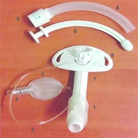 PDF Manejo integral del paciente con traqueostomía