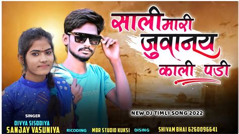 Sali Vo Aadiwasi Song Sanjay Vasuniya And Divya Sisodiya 2022 Johar