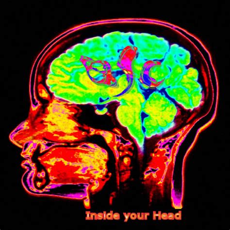 Substantia Nigra Youtube Music
