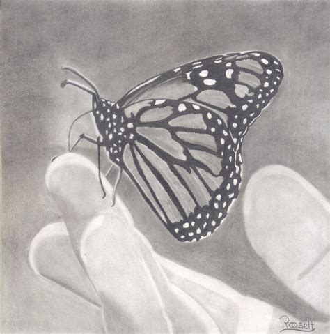 Dibujo Realizado A Mano Con L Piz Gr Fito B Mariposa Monarca Blanco Y