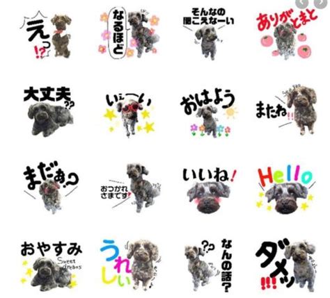 愛犬の写真を使用した可愛いオリジナルラインスタンプを注文してみたよ♪自由コメント入り！ 関西＠わんこー関西で犬と一緒にお出かけできる場所を紹介！