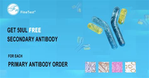 Buy Primary Antibody Get Free Secondary Antibody Finetest Elisa Kit Finetest Antibody